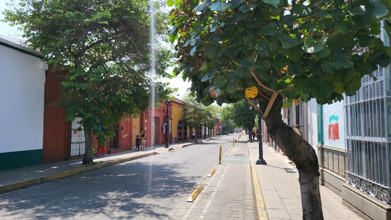 شقة Oaxaca Departments Independencia المظهر الخارجي الصورة